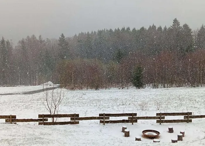 Forest Magic Semesterbostad Winterberg